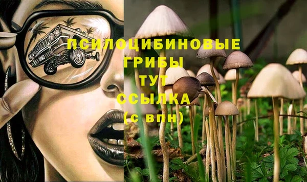 ALPHA PVP Новодвинск