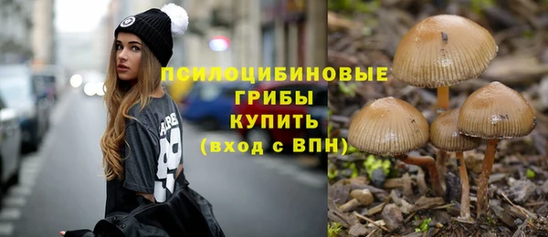 герыч Новозыбков