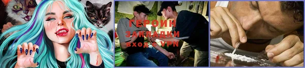 ALPHA PVP Новодвинск