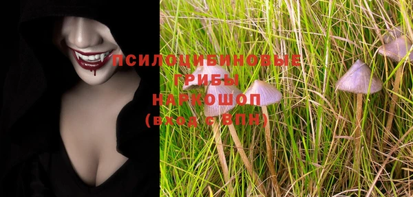 амф Бежецк