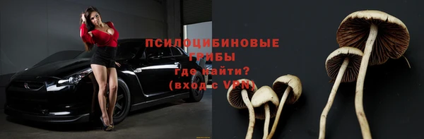 герыч Новозыбков