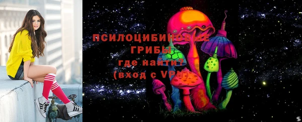 ALPHA PVP Новодвинск